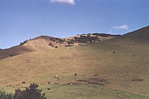 Copyright: Adrian Petford  20 March 2000