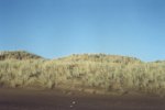 Copyright: Adrian Petford 27 March 2000